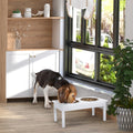 PawLuma Elevated Feeding Station