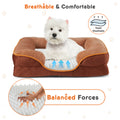 PawLuma Orthopedic Memory Foam Pet Bed